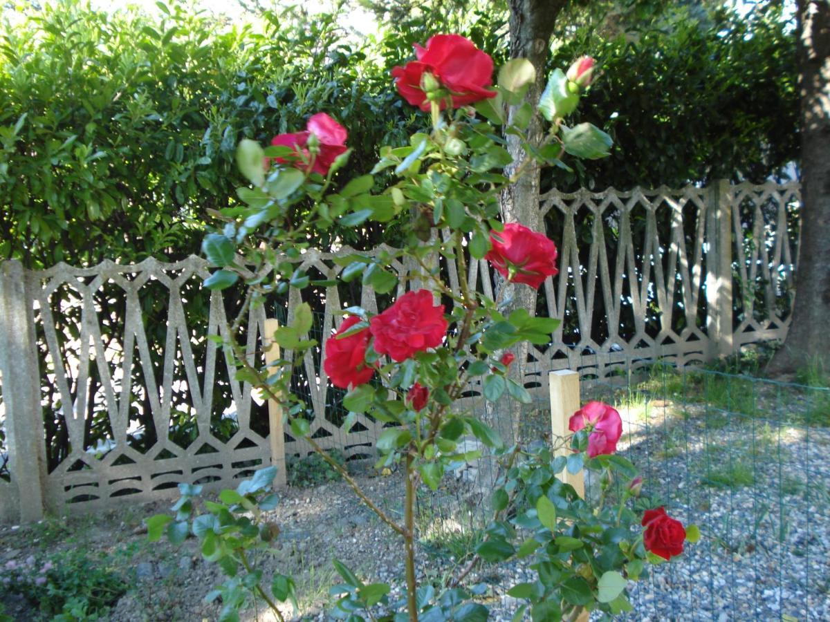 Casa Tea Bed&Breakfast&Home Restaurant Tagliolo Monferrato Exterior foto